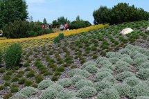 Krásy jarních zahrad Saska a Lužice - Německo