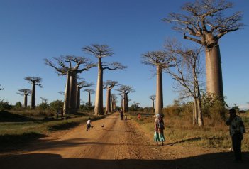 Krásy nedotčené přírody Madagaskaru - Madagaskar