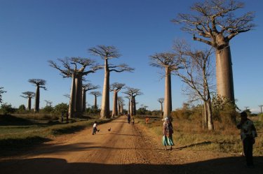 Krásy nedotčené přírody Madagaskaru