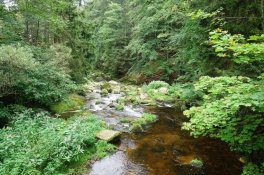 Krásy polských Krkonoš - hrady, zámky a zahrady Jelono-Gorské doliny - Polsko