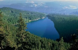Krásy Šumavy, hory, jezera a slatě i Bavorský les
