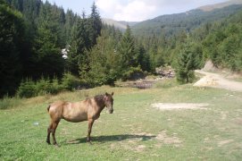 Krásy Zakarpatské Rusi - Ukrajina