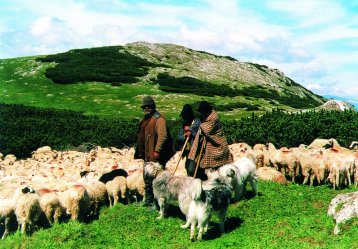 Krásy Zakarpatské Rusi