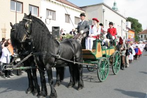 KROJOVANÉ VINOBRANÍ - Česká republika - Jižní Morava