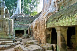 Kuala Lumpur + Siem Reap a jejich okolí - Malajsie