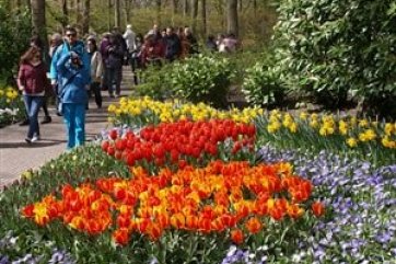 Květinové korzo a Amsterdam - Nizozemsko