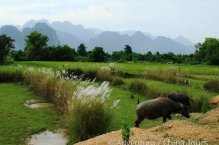 Laos a Kambodža - Laos