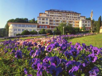 Lázeňský Hotel Palace