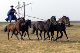 Lázně Hajdúszoboszló a slavnosti květin - Maďarsko - Hajdúszoboszló