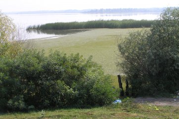 Lázně Hajdúszoboszló a slavnosti květin - Maďarsko - Hajdúszoboszló