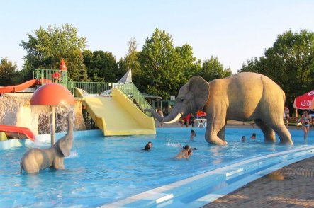 Lázně Hajdúszoboszló - koně a slavnost květin - Maďarsko - Hajdúszoboszló