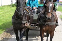 Lázně Hajdúszoboszló, termály a slavnosti květin - Maďarsko - Hajdúszoboszló