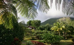 LE JARDIN MALANGA - Guadeloupe - Trois Riviéres