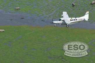 Letecké safari v Keni - Keňa