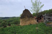 Letní zelená dovolená s příběhem v Bílých Karpatech - Česká republika - Bílé Karpaty