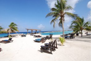 Lions Dive Beach Resort - Curacao - Curacao