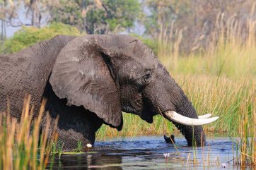 Luxusní Addo Elephant Safari s návštěvou Lesotho - Lesotho