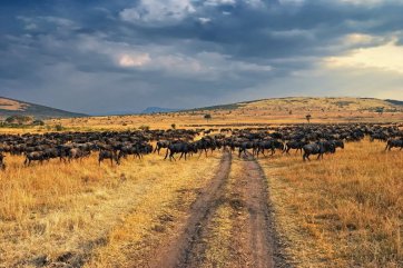 Luxusní Safari v Keni a odpočinek u moře - Keňa