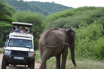Luxusní safari v Tanzanii - Tanzanie