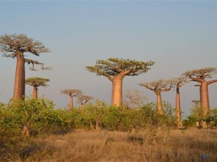 Madagaskar expedičně