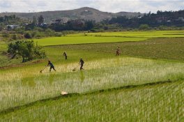 Madagaskar pohodověji - Madagaskar