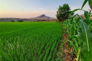 Madagaskar pohodověji - Madagaskar