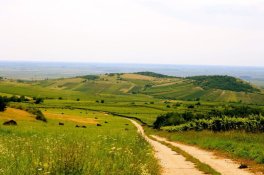 Maďarsko, víno a termální lázně - Maďarsko