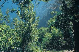 Madeira - Fly and Drive - Portugalsko - Madeira 