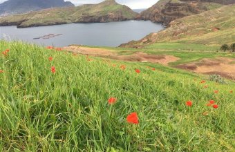 Madeira - jednodenní túry s horským přechodem