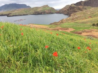 Madeira - jednodenní túry s horským přechodem