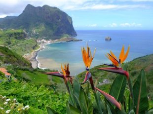 Madeira - jednodenní túry