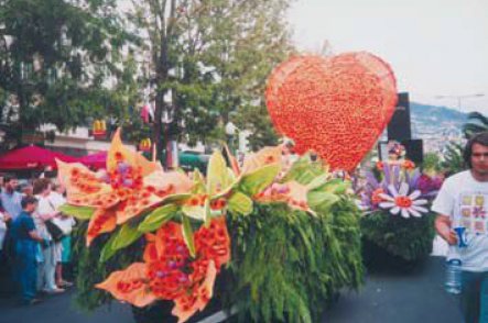 MADEIRA - KVĚTINOVÝ OSTROV - Portugalsko - Madeira 