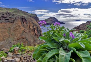 Madeira - poznávací