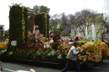 Madeira, poznávání a turistika - Portugalsko - Madeira 
