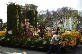 Madeira, poznávání a turistika - Portugalsko - Madeira 