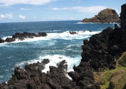 Madeira, Silvestr na ostrově věčného jara