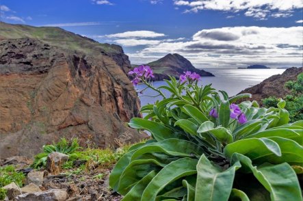 Madeira - turistická II. - Portugalsko - Madeira 