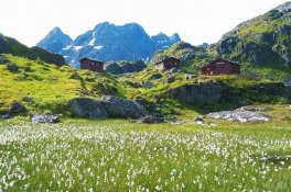 Magické Lofoty plachetnicí - Norsko - Lofoty