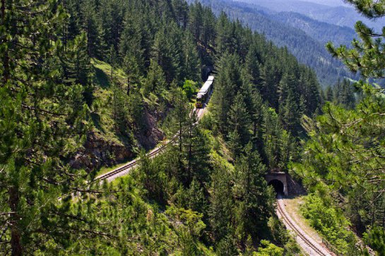 Magické pohoří Zlatibor, království supa bělohlavého - Srbsko