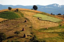 Májový Banát - Rumunsko