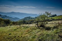 Májový Banát - Rumunsko