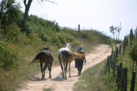 Májový Banát - Rumunsko