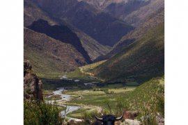 Malá Tibetská ochutnávka - Tibet