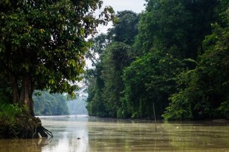 Malajsie a deštné pralesy - Malajsie