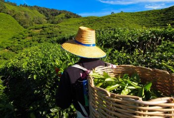 MALAJSIE - BALI - SINGAPUR - KOMBINACE POZNÁNÍ A ODPOČINKU - Malajsie