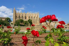 Mallorca - kouzelný ostrov Baleárského souostroví - Španělsko - Mallorca