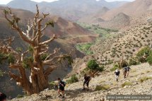 Maroko, Vysoký Atlas a Sahara - Maroko