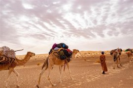 Mauritánie - dobrodružná expedice do srdce černé Afriky