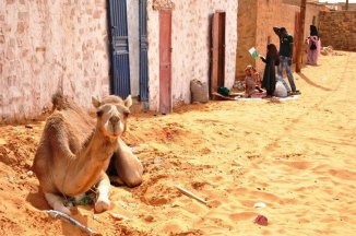 Mauritánie - dobrodružná expedice do srdce černé Afriky - Mauretánie