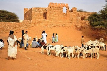 Mauritánie - dobrodružná expedice do srdce černé Afriky - Mauretánie